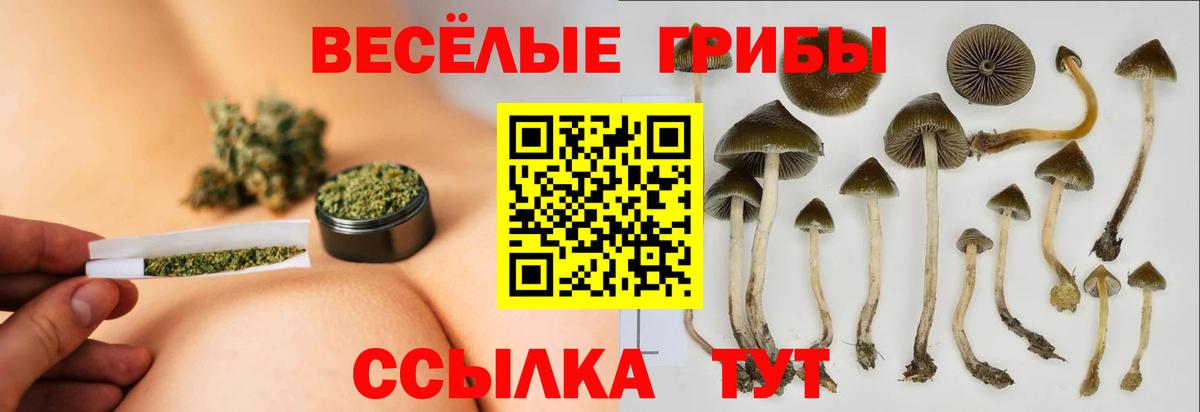 Псилоцибиновые грибы ЛСД Ханты-Мансийск